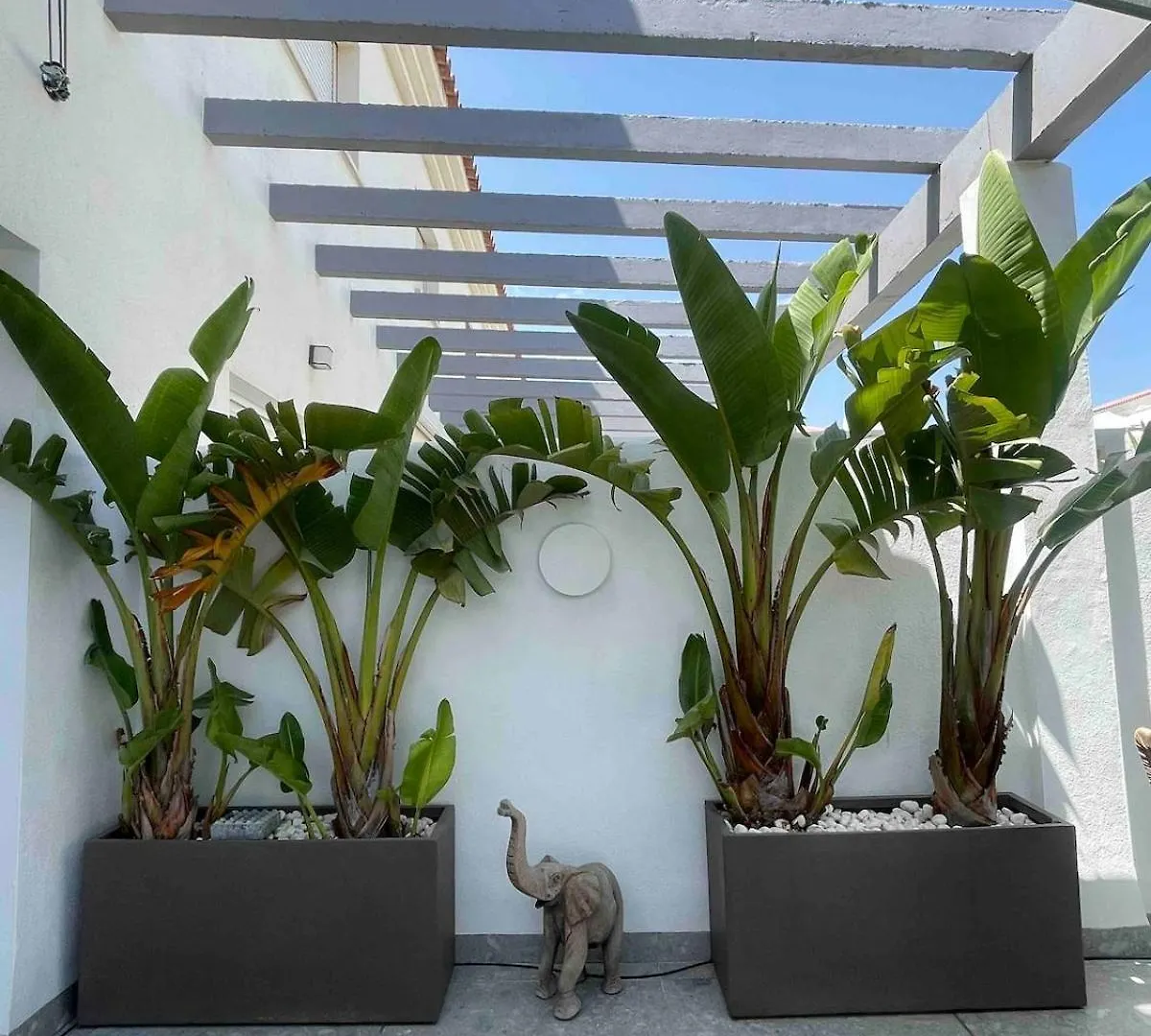 Palm House 2Min Walking To Beach Tarifa